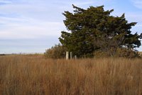 Brooker-Meek Cemetery