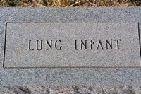 Lung