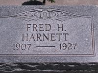 Harnett