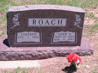 Roach