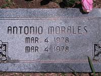 Morales