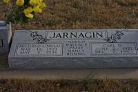 Jarnagin