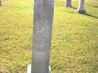 Image8.jpg (35304 bytes)