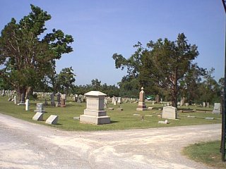 Image89.jpg (23235 bytes)