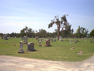 Image90.jpg (19767 bytes)