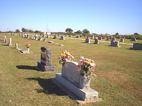 brown7.jpg (44800 bytes)