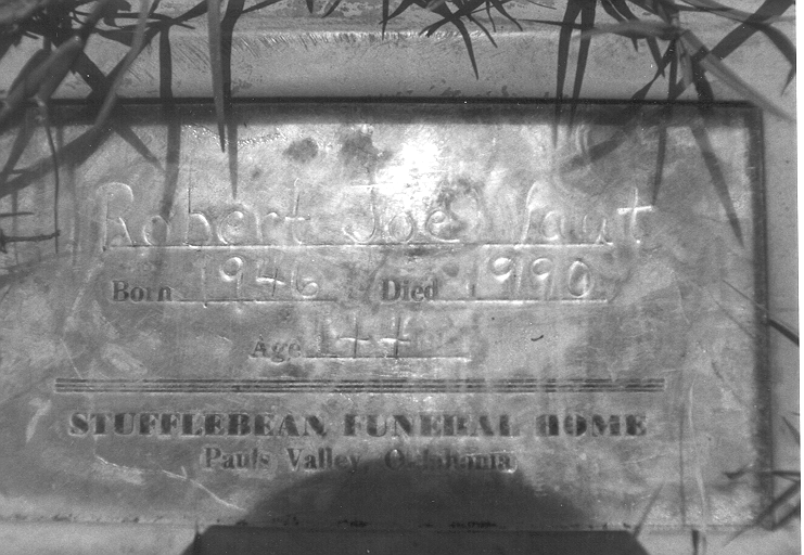 robtjoevaut.gif (374953 bytes)