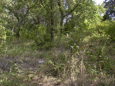 purdy2.jpg (62854 bytes)