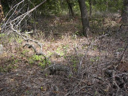 purdy5.jpg (65018 bytes)