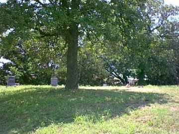 Image56.jpg (40321 bytes)