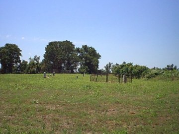 Image57.jpg (21924 bytes)