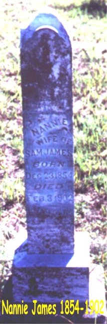 jamesnannie.JPG (38915 bytes)