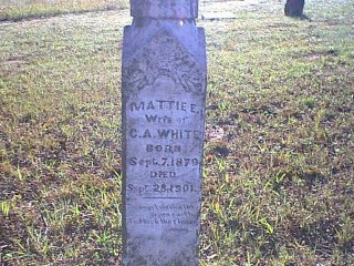 whitemattie.jpg (36936 bytes)