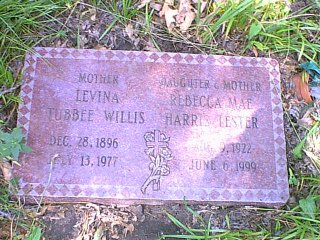 sandyhill4.jpg (36178 bytes)