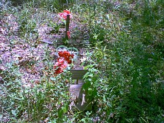 sandyhill8.jpg (43887 bytes)