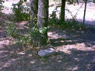 unknown4.jpg (36644 bytes)