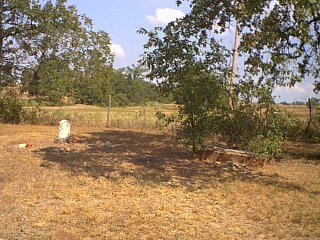 wchapel2.jpg (34962 bytes)