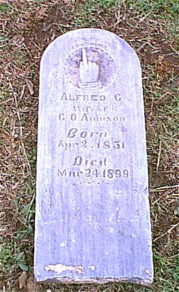 amason.jpg (56246 bytes)