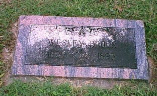 brock.jpg (27120 bytes)