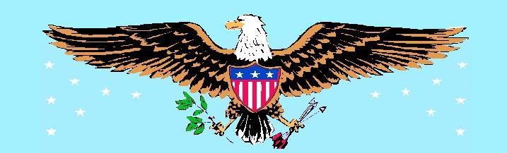 eagle with peace branch and arrows