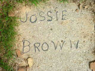 brown-jossie