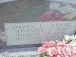 evans-david