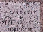 goodwin-rosa