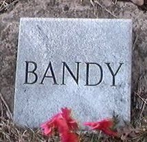 Bandy