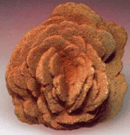 Rose Rock