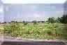 Clarita Area