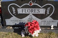 Flores