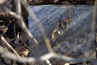tombstone