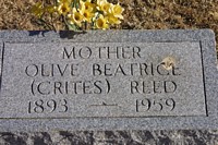Reed
