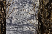 Ardrey