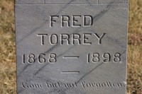Torrey