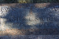 Sauter