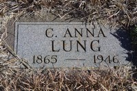 Lung