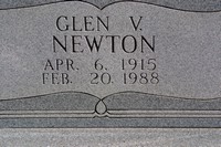  Newton