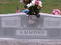 Ammons