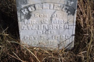 rolliecharrison.jpg
