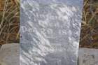 unknown1898_small.jpg