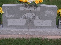 Castor