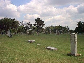 Image21.jpg
          (19456 bytes)