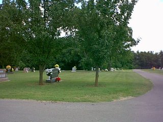 Image5.jpg (23380 bytes)