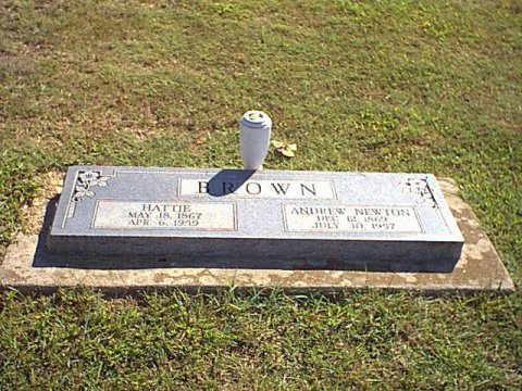 brown8.jpg (73600 bytes)