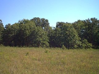 Oklahoma ancestry
