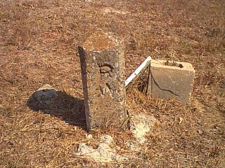 pw.jpg (37504 bytes)