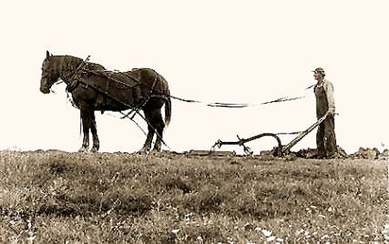 horse drawn plow