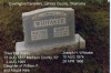 cow-whitaker-joseph-olive.jpg (76053 bytes)