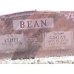 eebean.jpg